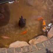 ヒメ日記 2025/12/10 23:27 投稿 里田まい 全裸美女からのカゲキな誘惑