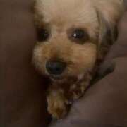 ヒメ日記 2026/02/18 23:58 投稿 里田まい 全裸美女からのカゲキな誘惑