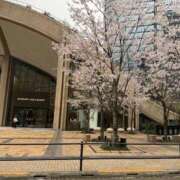 ヒメ日記 2026/04/05 12:38 投稿 里田まい 全裸美女からのカゲキな誘惑