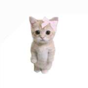 ヒメ日記 2026/01/13 19:26 投稿 えま 学校帰りの妹に手コキしてもらった件 谷九