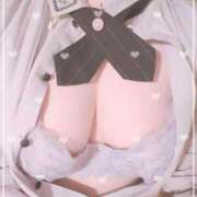 ヒメ日記 2025/08/20 15:18 投稿 さき 静岡駅前ちゃんこ