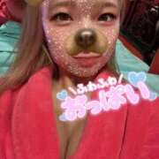 ヒメ日記 2025/02/08 15:15 投稿 イコマ バニーコレクション新潟店