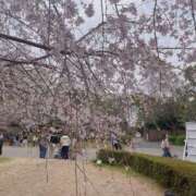 ヒメ日記 2025/04/03 14:06 投稿 カンナ ギャルズネットワーク神戸