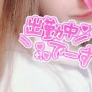 ヒメ日記 2024/12/12 09:59 投稿 りな SUZUME