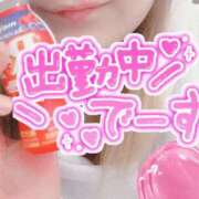 ヒメ日記 2025/01/17 10:07 投稿 りな SUZUME