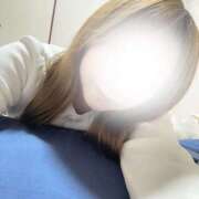 ミイ 最終日です！ バニーコレクション秋田店