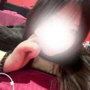 ミイ 最終日です⭐️ バニーコレクション秋田店