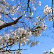 ヒメ日記 2025/04/13 10:44 投稿 葉月香音 エルドール