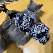 ヒメ日記 2025/07/10 15:39 投稿 かな リッチドールパート2梅田店