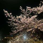 ヒメ日記 2026/03/23 16:49 投稿 あすか ぽちゃ巨乳専門　新大久保・新宿歌舞伎町ちゃんこ