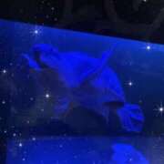 ヒメ日記 2026/01/25 22:47 投稿 ななこ 丸妻 厚木店