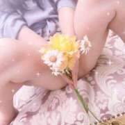 ヒメ日記 2026/02/12 14:08 投稿 ななこ 丸妻 厚木店