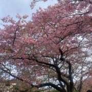 ヒメ日記 2026/02/28 19:44 投稿 ななこ 丸妻 厚木店