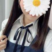 ヒメ日記 2025/08/25 16:42 投稿 みな ときめき純情ロリ学園～東京乙女組 新宿校