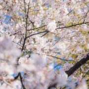 ヒメ日記 2026/03/29 02:00 投稿 みき 熟女の風俗最終章 西川口店