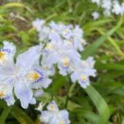 ヒメ日記 2025/06/01 18:34 投稿 りょう ちゃんこ東大阪 布施・長田店