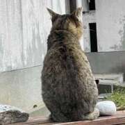 ヒメ日記 2025/06/22 17:09 投稿 りょう ちゃんこ東大阪 布施・長田店