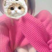 ヒメ日記 2025/04/05 09:47 投稿 あん パンスト熟女はいやらしい