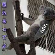 ヒメ日記 2025/11/29 19:39 投稿 あん パンスト熟女はいやらしい