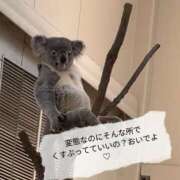 ヒメ日記 2025/12/02 23:01 投稿 あん パンスト熟女はいやらしい