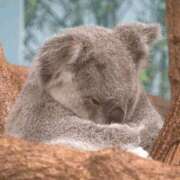 ヒメ日記 2025/12/17 16:19 投稿 あん パンスト熟女はいやらしい