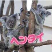 ヒメ日記 2025/12/25 15:15 投稿 あん パンスト熟女はいやらしい