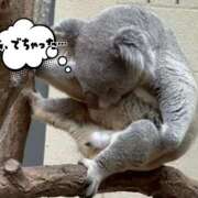 ヒメ日記 2025/12/31 12:12 投稿 あん パンスト熟女はいやらしい