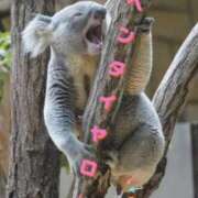 ヒメ日記 2026/01/04 11:07 投稿 あん パンスト熟女はいやらしい