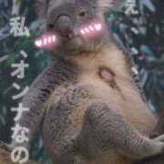 ヒメ日記 2026/01/10 15:15 投稿 あん パンスト熟女はいやらしい