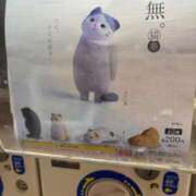 ヒメ日記 2025/08/28 19:35 投稿 かずね 熟女家 東大阪店（布施・長田）