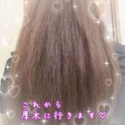 ヒメ日記 2026/04/04 07:35 投稿 みさと 丸妻 厚木店