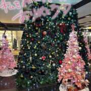 ヒメ日記 2024/12/12 11:06 投稿 つくし 奥様はエンジェル　町田店