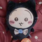 ヒメ日記 2025/11/23 17:16 投稿 うたは ぽちゃらん神栖店