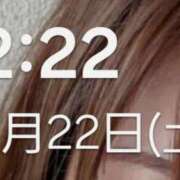 ヒメ日記 2025/03/09 19:03 投稿 藤原かえで Mrs.Dandy Kinshicho