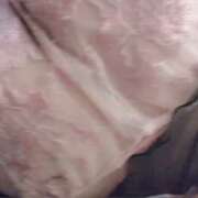 ヒメ日記 2026/01/24 19:15 投稿 藤原かえで Mrs. Dandy shinagawa