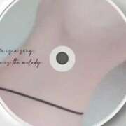 ヒメ日記 2025/04/13 19:52 投稿 藤原かえで Mrs. Dandy