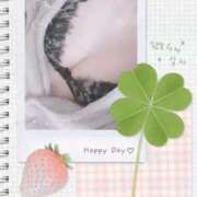 ヒメ日記 2025/09/01 03:34 投稿 藤原かえで Mrs.Dandy Ueno