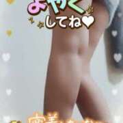 ヒメ日記 2024/12/23 08:48 投稿 木村友希乃 五十路マダム 仙台店