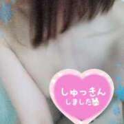 ヒメ日記 2025/02/04 13:12 投稿 木村友希乃 五十路マダム 仙台店