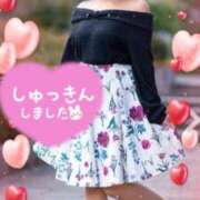 ヒメ日記 2025/02/09 11:02 投稿 木村友希乃 五十路マダム 仙台店