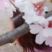 ヒメ日記 2025/04/06 12:42 投稿 木村友希乃 五十路マダム 仙台店