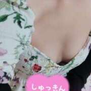 ヒメ日記 2025/07/17 13:28 投稿 木村友希乃 五十路マダム 仙台店