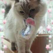 ヒメ日記 2025/09/11 13:10 投稿 木村友希乃 五十路マダム 仙台店