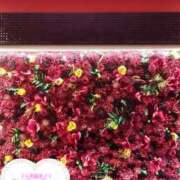 ヒメ日記 2025/10/24 14:14 投稿 木村友希乃 五十路マダム 仙台店