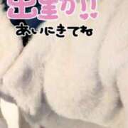 ヒメ日記 2025/12/11 15:20 投稿 木村友希乃 五十路マダム 仙台店