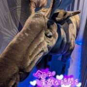 ヒメ日記 2026/01/20 17:42 投稿 木村友希乃 五十路マダム 仙台店