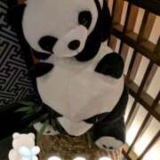 ヒメ日記 2026/02/27 08:56 投稿 木村友希乃 五十路マダム 仙台店