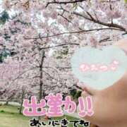 ヒメ日記 2026/04/07 13:00 投稿 木村友希乃 五十路マダム 仙台店