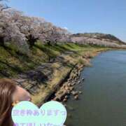 ヒメ日記 2026/04/11 18:22 投稿 木村友希乃 五十路マダム 仙台店