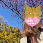 ヒメ日記 2026/04/13 13:10 投稿 木村友希乃 五十路マダム 仙台店